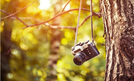 爱莎公主今日运势2025年9月3日