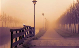 Pandora占星小巫处女座2025年10月运势