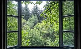 窗边奥秘：揭秘霉运的克星