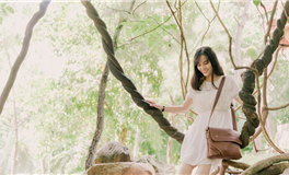 易鑫今日生肖运势2025年10月1日