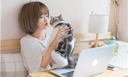 孩子的教育：你人生最伟大的工程