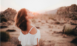 苏民峰：属蛇人2025年10月运势/丙戌月运势（10.8-11.6）