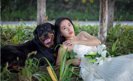 阴阳五行：探寻自然界生存的奥秘