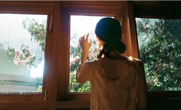 苏民峰:属牛人2025年9月运势/乙酉月运势(9.7-10.7)