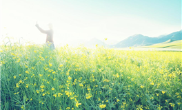 星座女神：双鱼座本周运势（10.27-11.2）