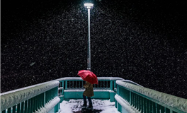 秦阳明每日生肖运势2025年10月4日