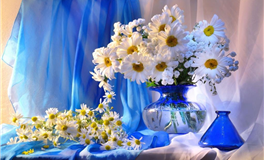 兰亚多一周星座运势（10.22-10.28）