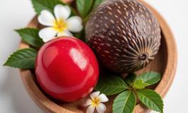 种子与果实：自然界物种繁衍的奥秘