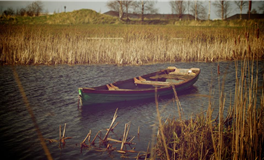 双鱼座的外表来看，他们从不愁脱单