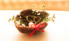 郑博士每日生肖运势2025年10月12日