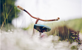 李云天每日生肖运势2025年10月2日