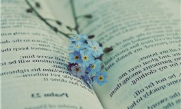 乔治娅一周星座运势（10.20-10.26）