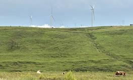墓地风水优化：为后代子孙带来福祉