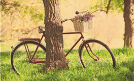 Pandora占星小巫本周星座运势（10.10-10.16）