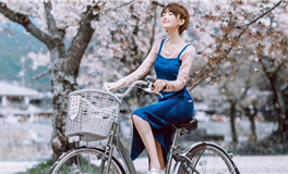 滴天居士2025年10月11日生肖运势