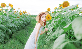 2026年犯太岁的生肖