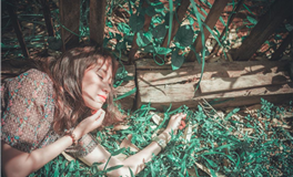 李云天每日生肖运势2025年11月15日