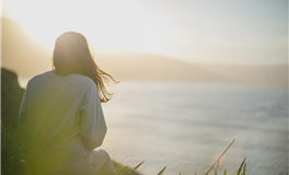 2029年是什么生肖年，2029年属什么生肖