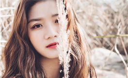 星座温暖榜：最受喜爱的几大星座