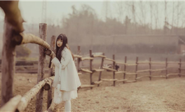 占星小辣椒2025年11月13日十二星座运势