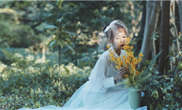 三个守护者，终身相随