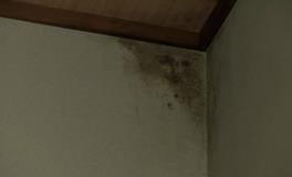 孩子半夜从梦中惊醒，然后指着墙角哇哇大哭，这梦有啥说法？