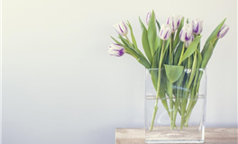 星座与婚姻：哪些星座更适合步入婚姻殿堂？