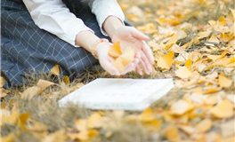 1981年属鸡2026年运势及运程详解 81年属鸡人2026年马年每月运程