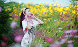 郑博士每日生肖运势2025年11月10日