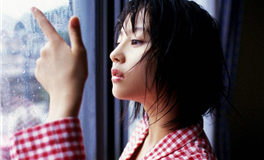 斯蒂芬的探索：太阳周期的奥秘