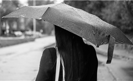 滴天居士2025年11月17日生肖运势