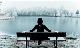 属鸡2026年运势运程