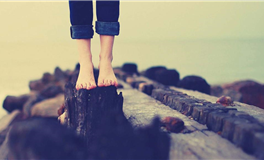 郑博士每日生肖运势2025年11月5日