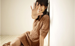 苏民峰：属羊人2025年11月运势/丁亥月运势（11.7-12.6）