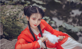 2025年职场趋势：哪些生肖将迎来突破性进展？