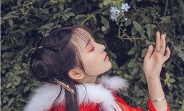 苏民峰2025年12月十二生肖运势/戊子月运势（12.7-1.4）