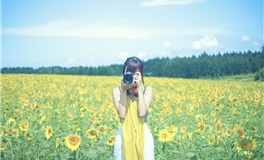 D.H.APP生肖猴2026年运势