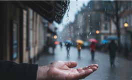 雨伞心测：探索你潜意识中理想的伴侣形象