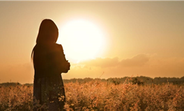 占星网双子座2026年运势