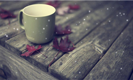 苏民峰：属虎人2025年12月运势/戊子月运势（12.7-1.4）