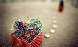 爱莎公主狮子座2025年12月塔罗运势