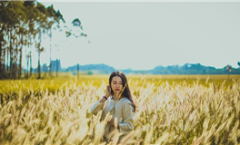 熊神进十二生肖2026年1月6日吉时吉事提点