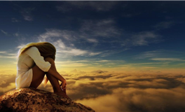 Alex大叔金牛座2026年2月运势