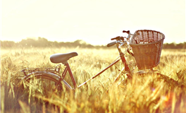 双鱼座的内心是比较脆弱的