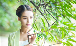 滴天居士生肖鸡2026年1月运势