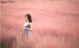 海百合十二星座本周运势（2.2-2.8）