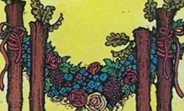 爱莎公主白羊座2026年2月塔罗运势