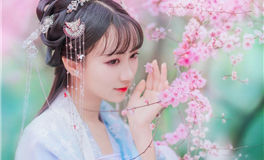 滴天居士2026年正月生肖运势