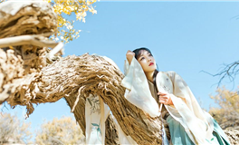 秦阳明每日生肖运势2026年2月3日