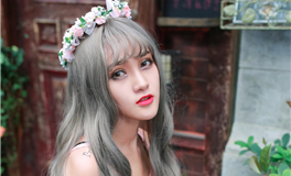 探索斯蒂芬：金星与情人节背后的理论